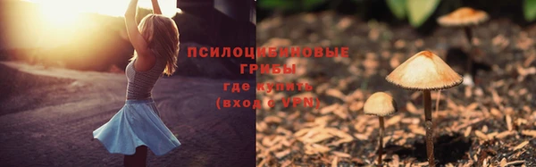 тгк Михайловка