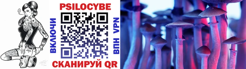 Купить закладки  Таганрог  Галлюциногенные грибы Magic Shrooms 